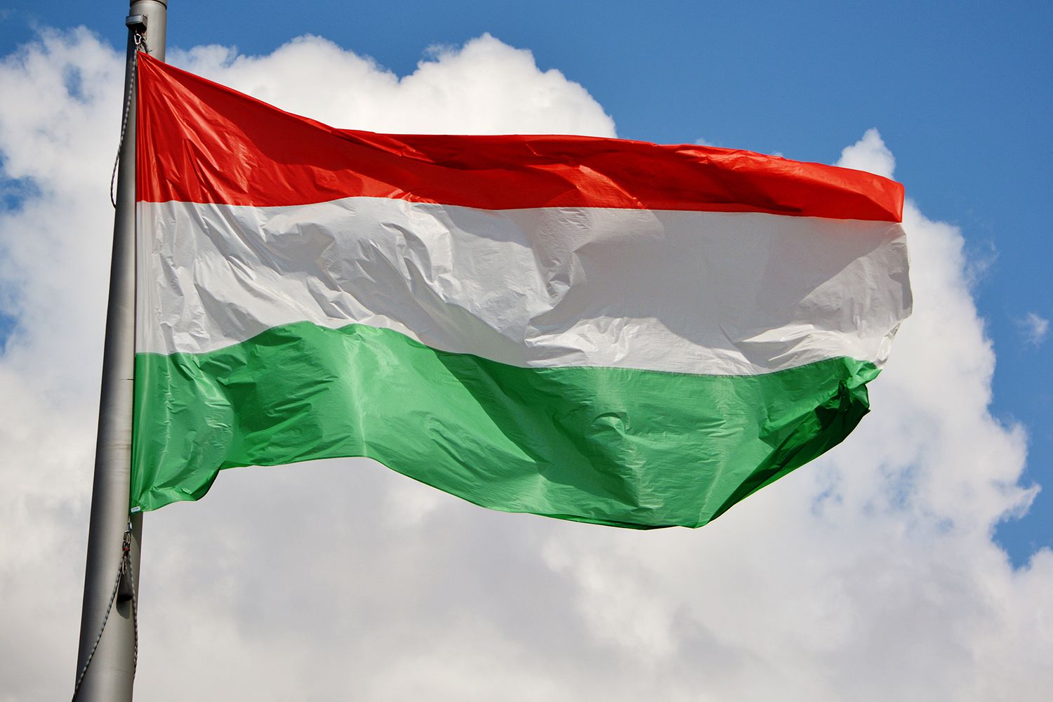 Бизнес приглашают в Венгрию на бизнес-миссию