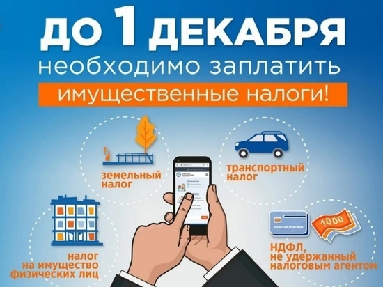 Срок уплаты имущественных налогов за 2021 год истекает 1 декабря